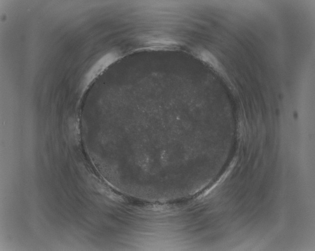 X0000062861362200601131405