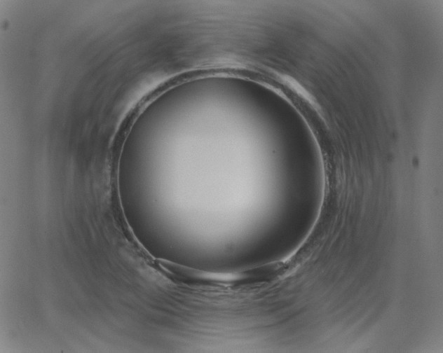 X0000062861364200601131405