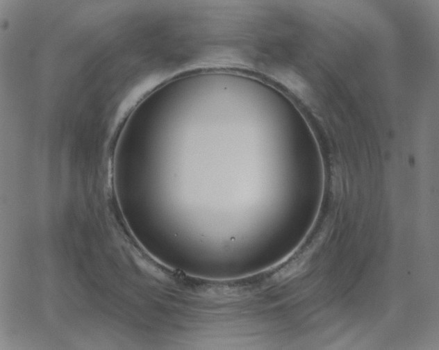 X0000062861366200601131405