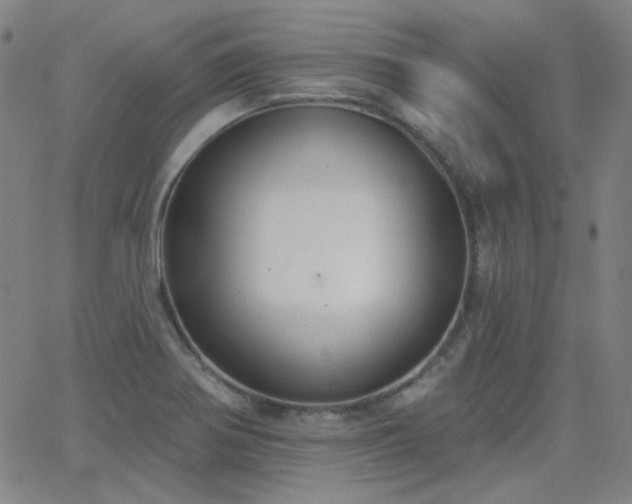X0000062861370200601131404