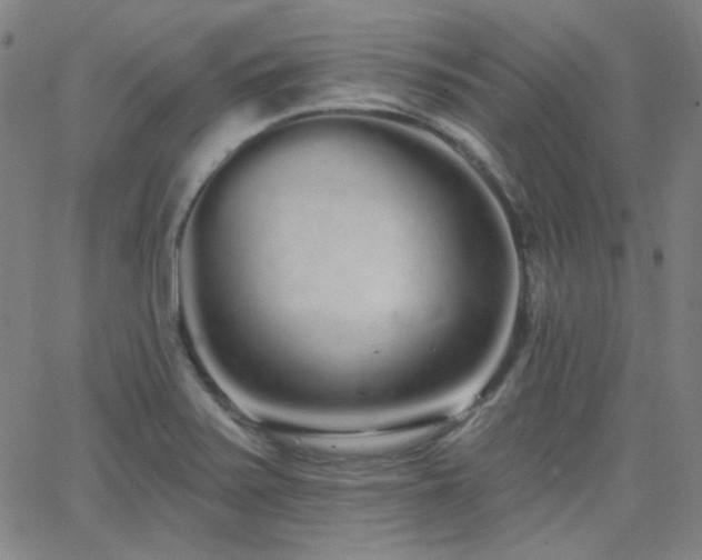 X0000062861371200601131404