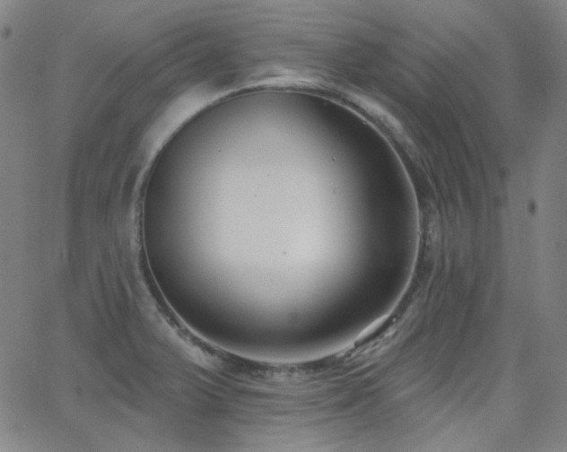 X0000062861375200601131404