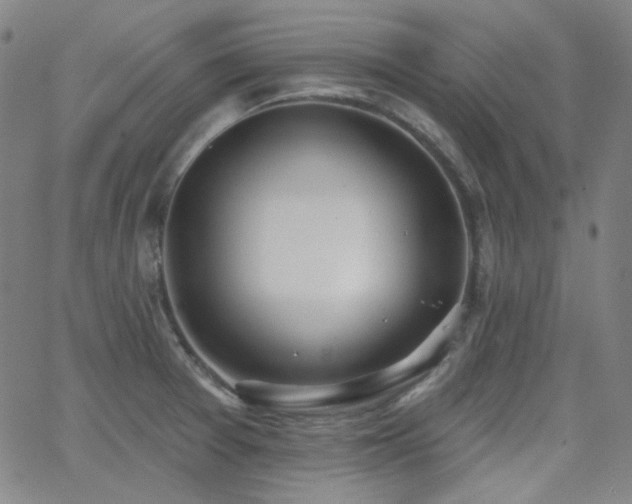 X0000062861377200601131404