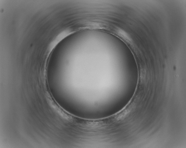 X0000062861378200601131404