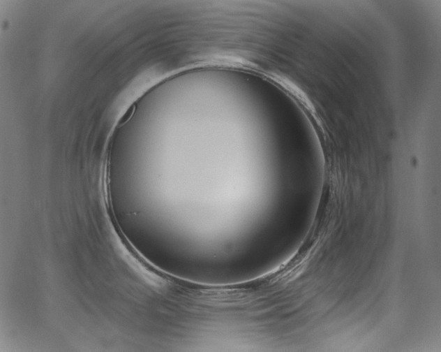X0000062861391200601131404