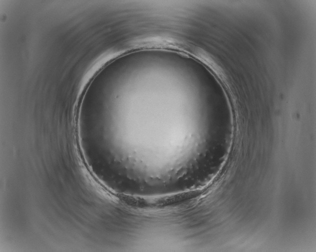 X0000062861392200601131404
