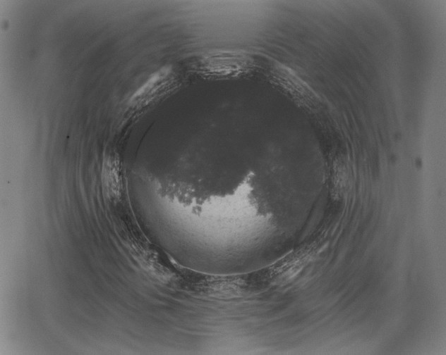 X0000062861394200601131403