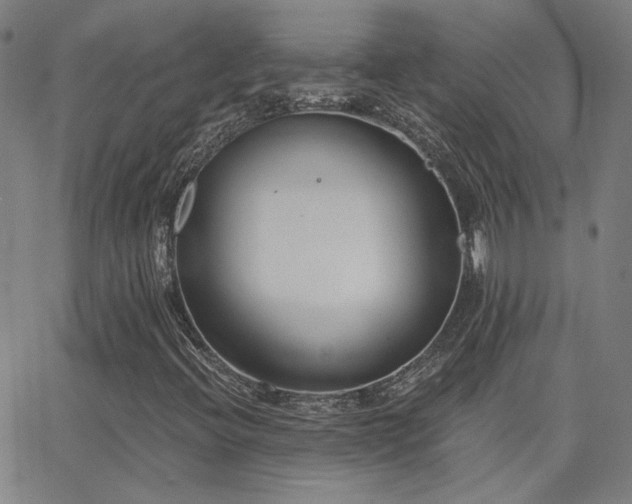X0000062861396200601131403