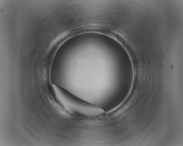 X0000062861402200601131403