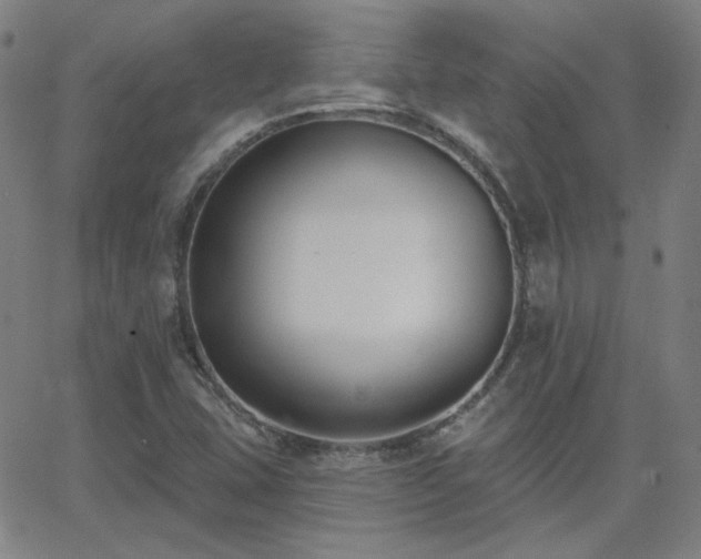 X0000062861407200601131403