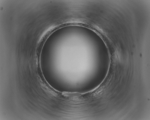 X0000062861408200601131403