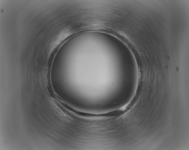 X0000062861410200601131404
