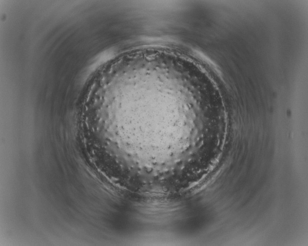 X0000062861411200601131404