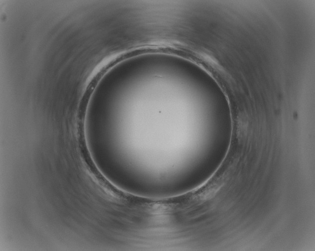 X0000062861412200601131404