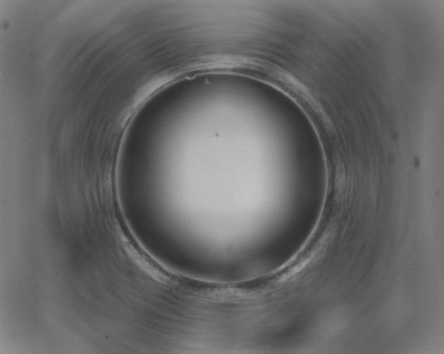 X0000062861417200601131404