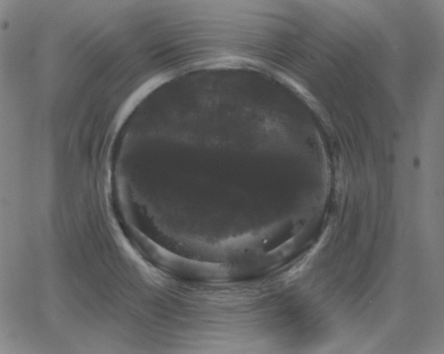 X0000062861418200601131404