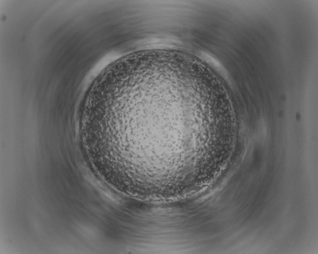 X0000062861419200601131404