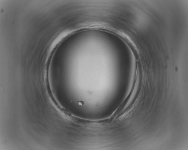 X0000062861424200601131404