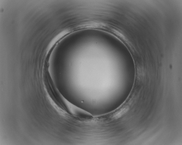 X0000062861426200601131404