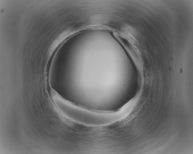 X0000062861430200601131404