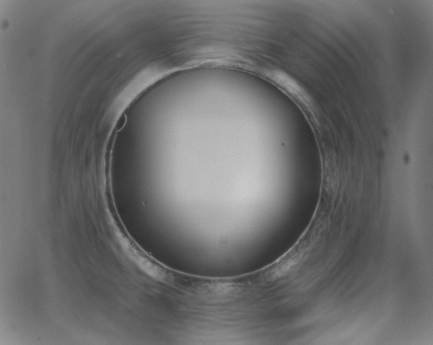 X0000062861431200601131404