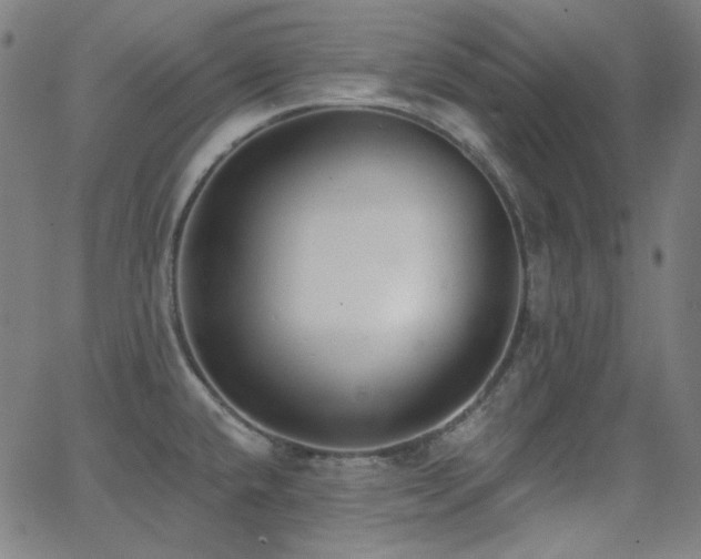 X0000062861432200601131404