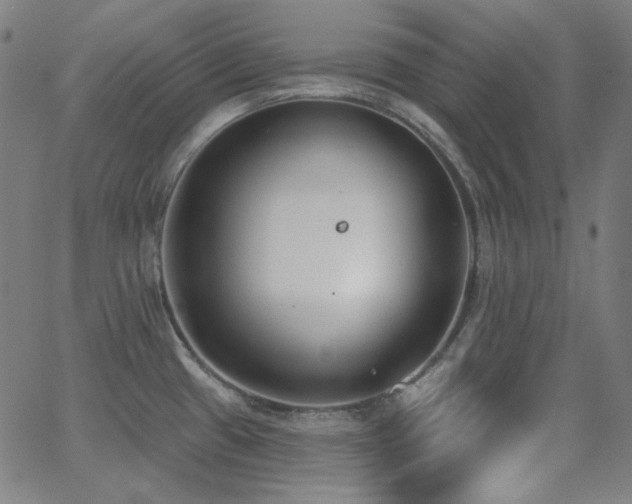X0000062861433200601131404