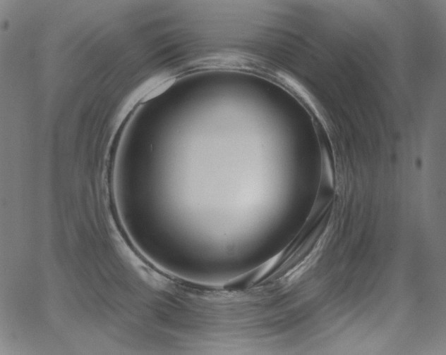 X0000062861434200601131404