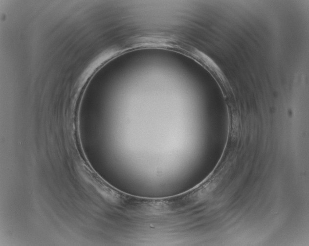 X0000062861435200601131404