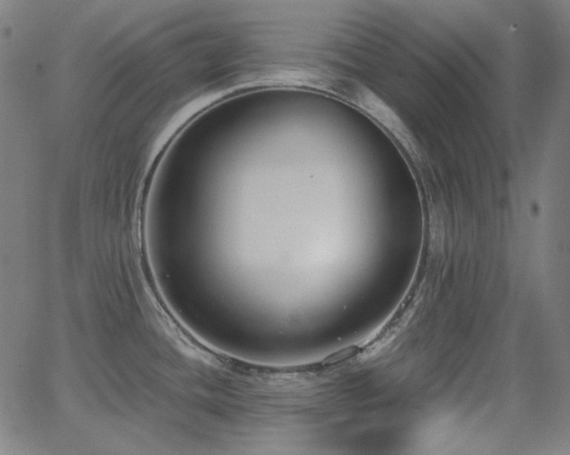 X0000062861436200601131404