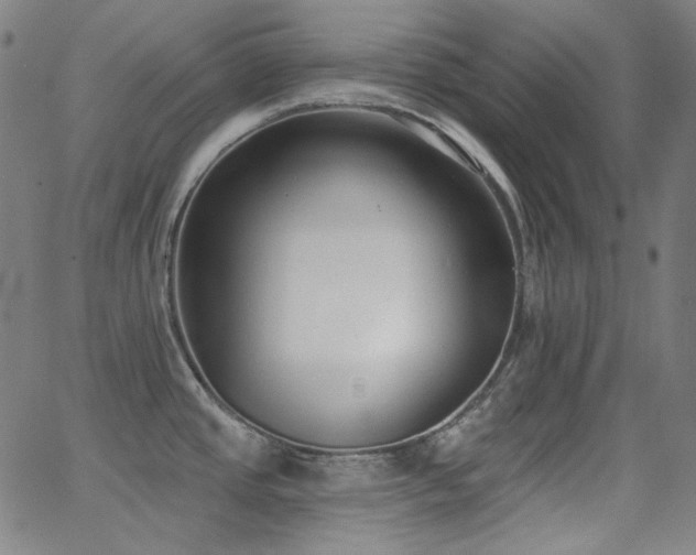 X0000062861437200601131404