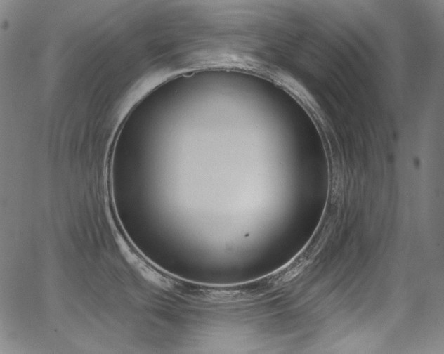 X0000062861439200601131404