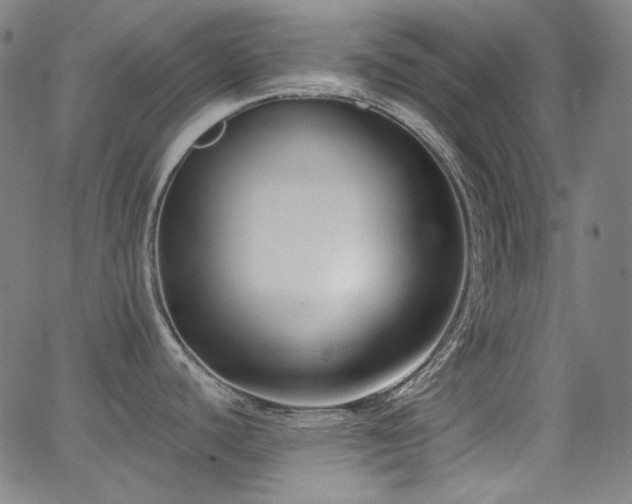 X0000062861440200601131404
