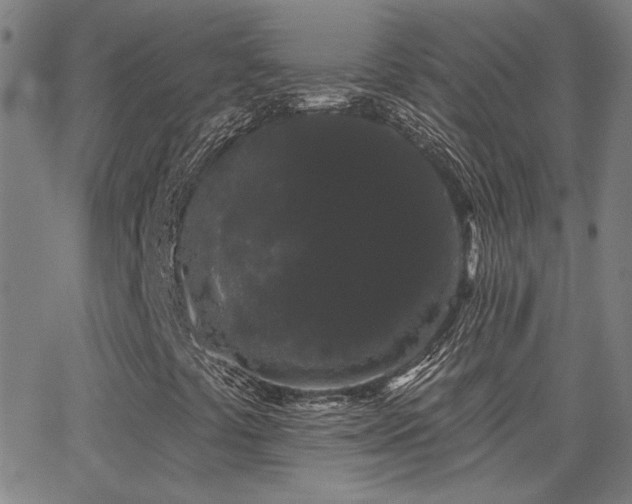 X0000062861441200601131403