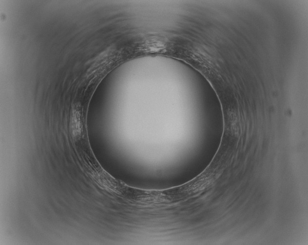 X0000062861442200601131403