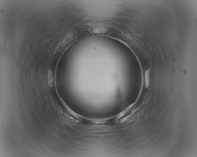 X0000062861443200601131403