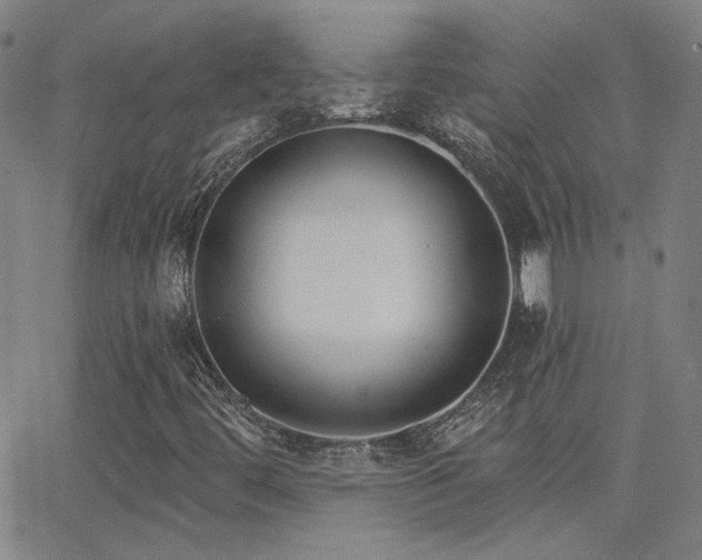 X0000062861444200601131403