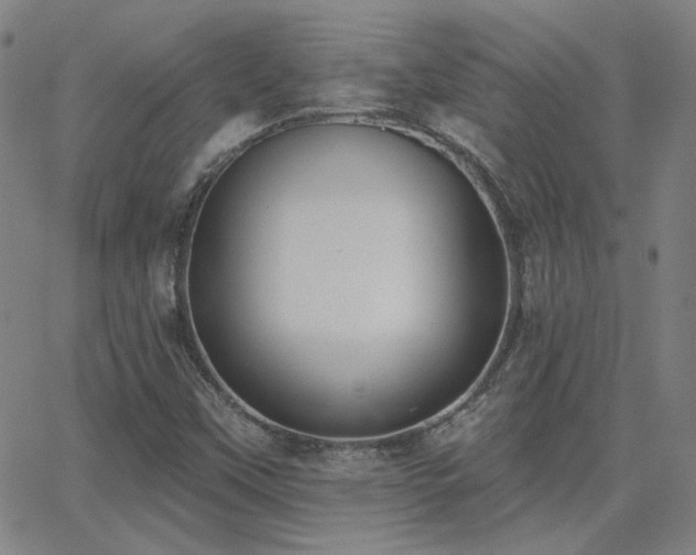 X0000062861451200601131403