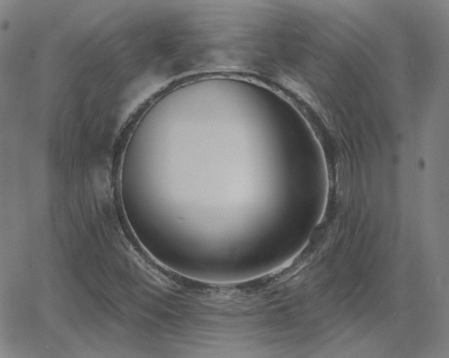 X0000062861452200601131403
