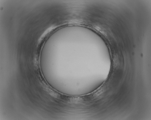X0000062861454200601131403