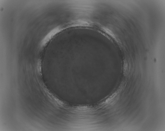 X0000062861455200601131403