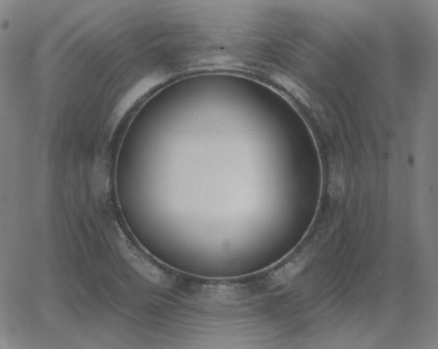 X0000062861458200601131403