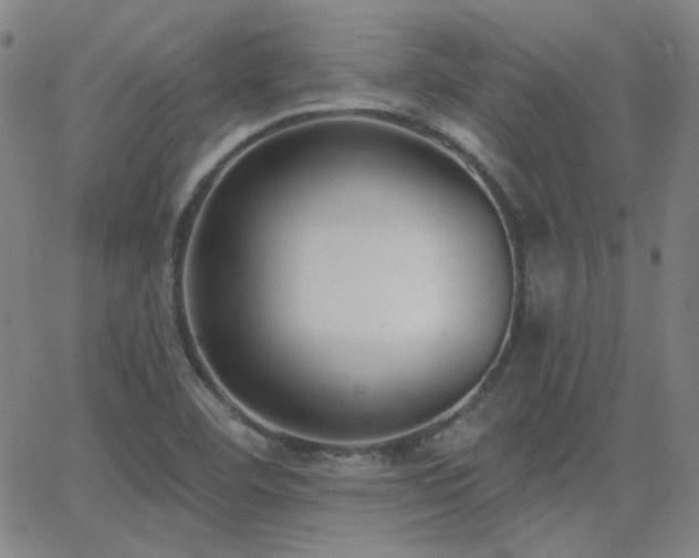 X0000062861460200601131403