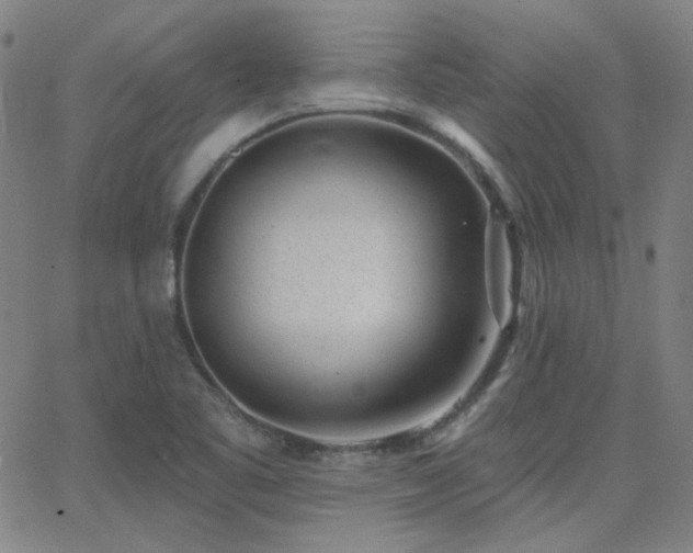 X0000062861461200601131403