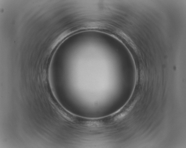 X0000062861465200601131403