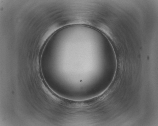 X0000062861468200601131403