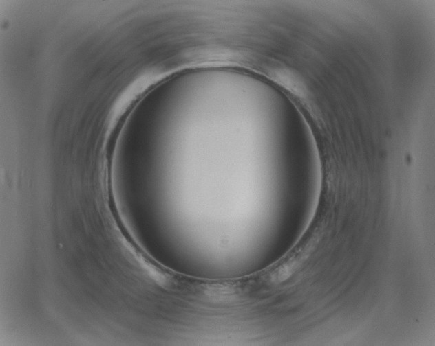 X0000062861472200601131403