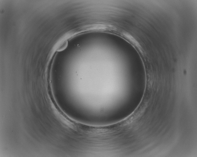 X0000062861475200601131403