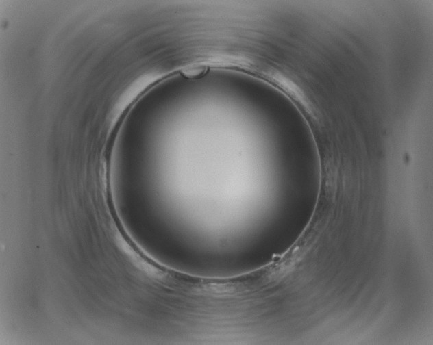 X0000062861476200601131403