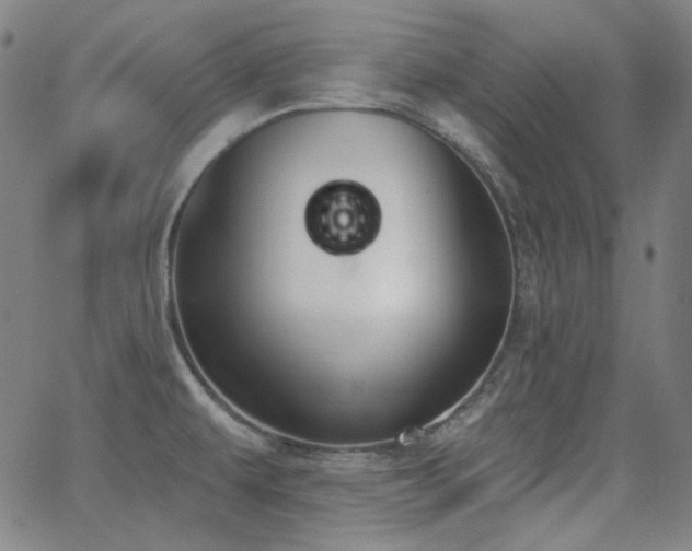 X0000062861479200601131403